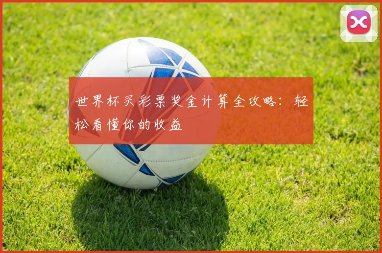 世界杯买彩票奖金计算全攻略：轻松看懂你的收益