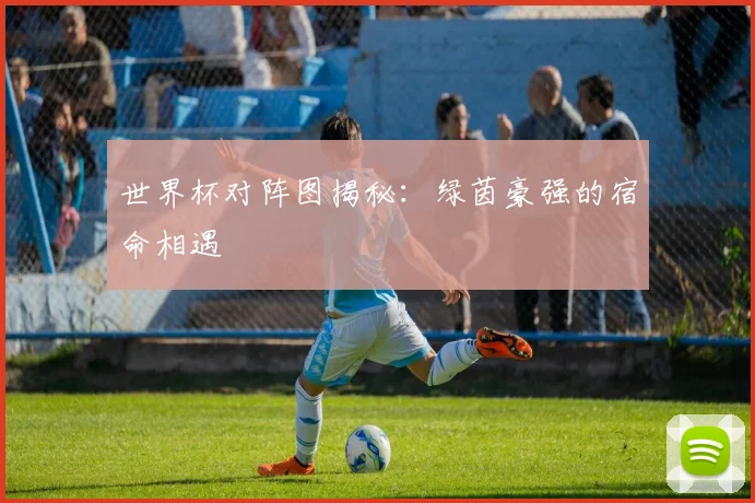 世界杯对阵图揭秘：绿茵豪强的宿命相遇