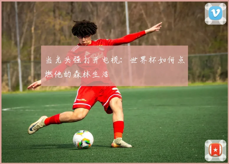 当光头强打开电视:世界杯如何点燃他的森林生活