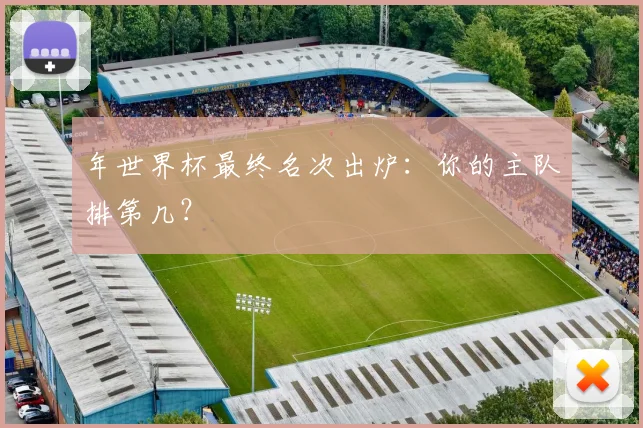 年世界杯最终名次出炉：你的主队排第几？