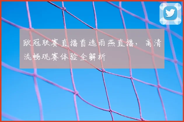 欧冠联赛直播首选雨燕直播，高清流畅观赛体验全解析