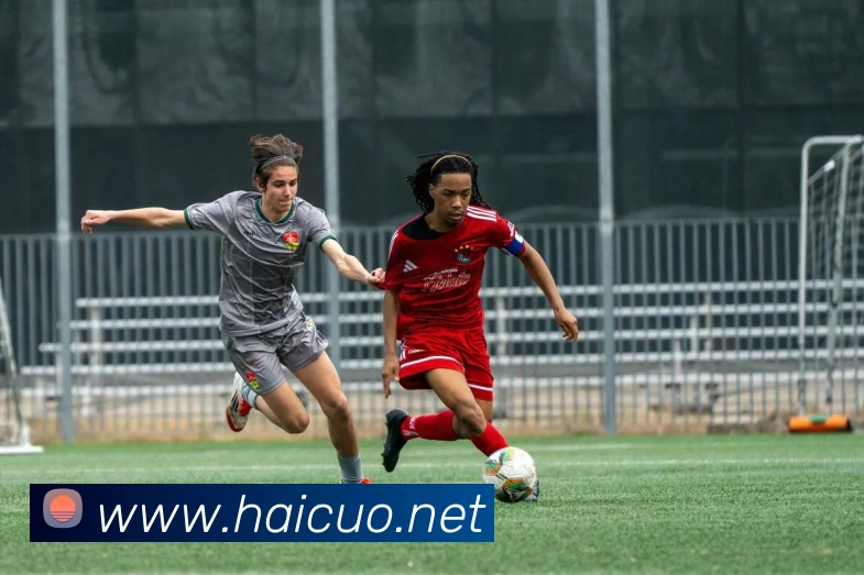 半岛平台APP 体育赛事宣传图